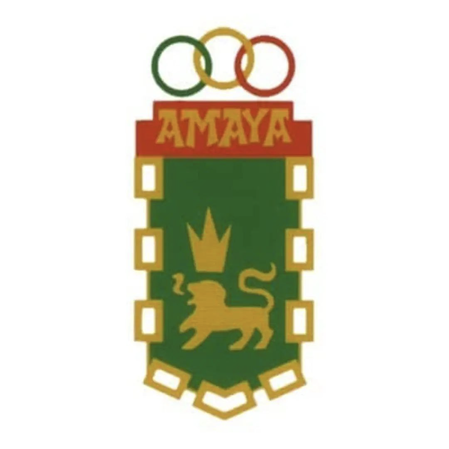 clubes participantes/CN Amaya.png